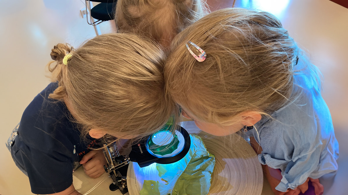 Drei Kinder schauen gemeinsam durch ein Mikroskop und untersuchen ein grünes Blatt.