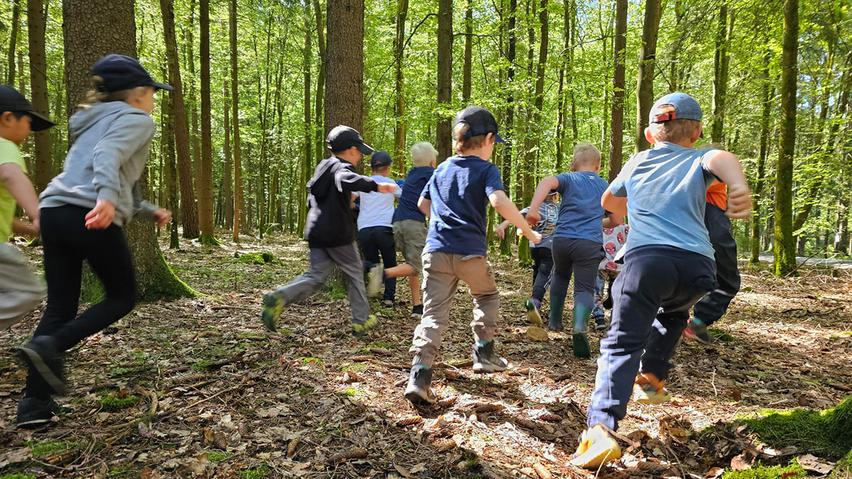 Gruppe von Kindern rennt durch einen sonnigen Wald, umgeben von hohen Bäumen